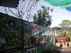 -芦仙山景区-飞越丛林探险乐园