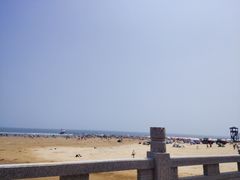 -日照海滨国家森林公园