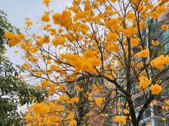 -鱼民·现造寿司(育德店)