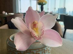 -悦轩中餐厅·高空江景·杭州柏悦酒店
