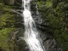 -秦岭风景区