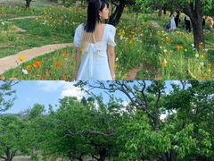 -名花谷生态庄园
