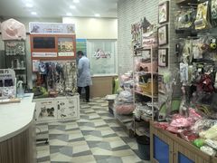 -总动员动物医院(宝丰院店)