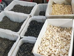 -众彩物流水产市场