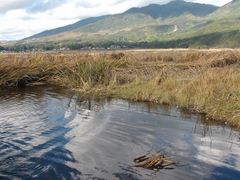 -腾冲北海湿地