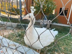 -太原动物园