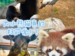 -灵玲国际马戏城