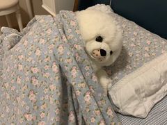 -巴蜀王氏现捞(五大花园店)