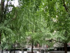 -四川大学(望江校区)