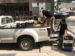 -都念榴莲·城市榴莲