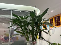 点击看大图 -纵享怡月月子中心(西稍门店)