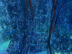 -沈阳海洋探索中心