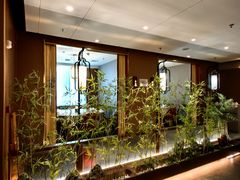 -宏宴·新京菜(望京店)