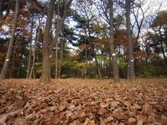 -沈阳市东陵公园