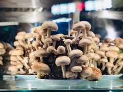 -捞神汤物料理(正大广场店)