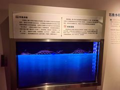 -白鹤梁水下博物馆