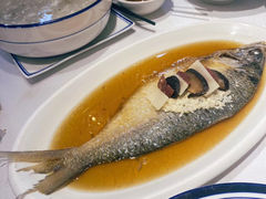 -老人和饭店(淮海中路店)