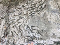 -张掖大佛寺景区