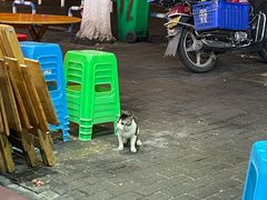-朱儿面庄(洋河三路店)