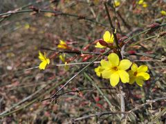 -北京动物园-畅观楼