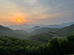 -李东农庄(中南百草园地标店)