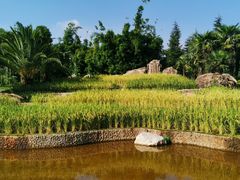 -云南民族村
