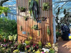 -国家植物园南园