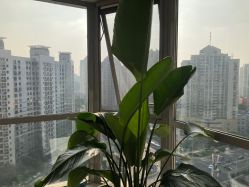 -一个差评成就的纹眉店