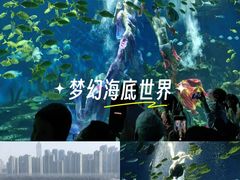 -海合安武汉极地海洋公园