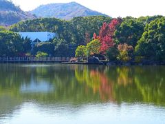-白马涧龙池景区