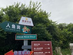 -杨梅坑
