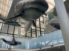 -中国（海南）南海博物馆