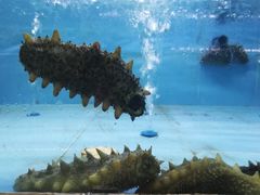 -渔人湾码头海鲜市场负二楼