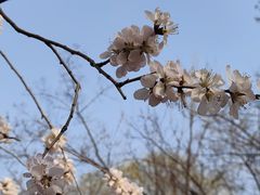 -碑林公园