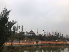 -枫香湖儿童公园