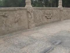 -赵州桥景区