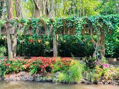-中国科学院西双版纳热带植物园