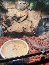 -酷嗒动物文化乐园(cutezoo西溪乐天城店)