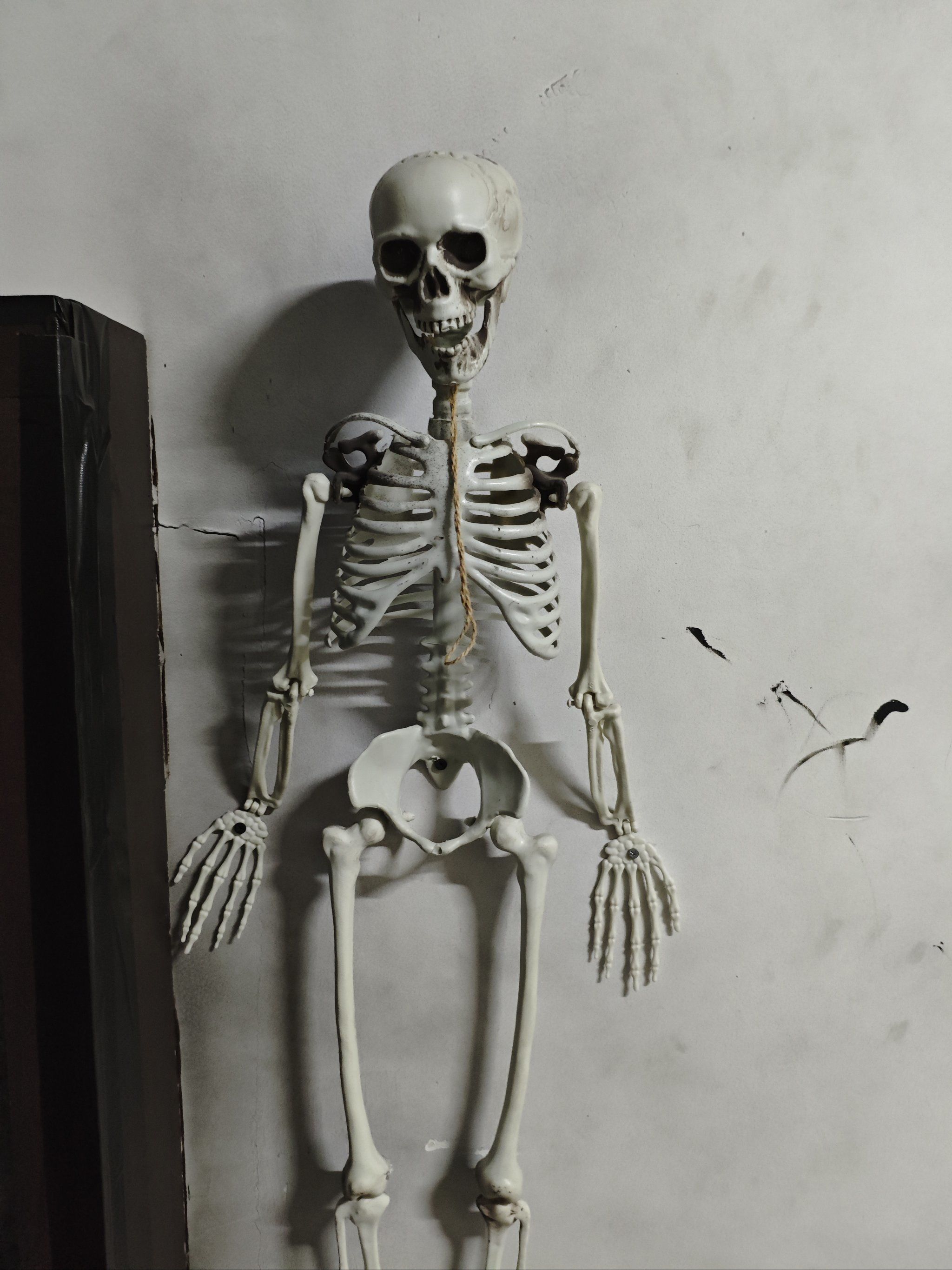 这是尸体!大.大家快跑啊