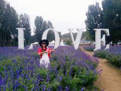 -紫海香堤香草艺术庄园