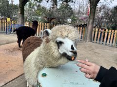 -成都欢乐谷