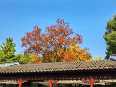 -苏州园林博物馆
