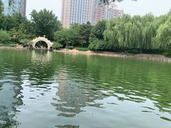 -团结湖公园