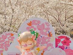 -苏州上方山国家森林公园