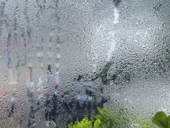 -喜相逢大酒楼(黄边南路店)