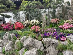 -豫园