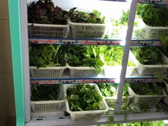 野菜-黔豆园豆米火锅·野菜馆(都匀二店)