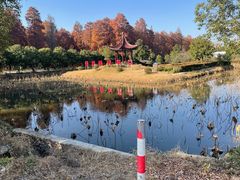 -渌洋湖湿地公园