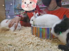 -7mall美食潮地标