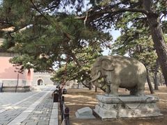 -北陵公园
